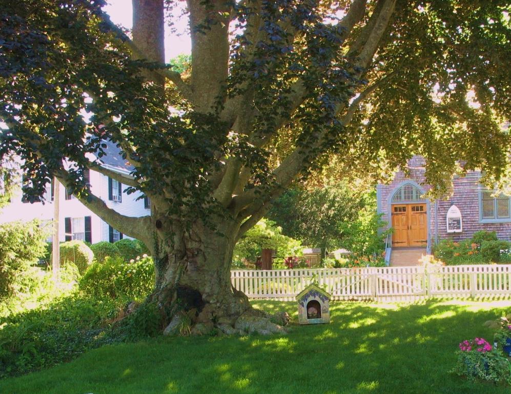 The 1720 House Acomodação com café da manhã Vineyard Haven Exterior foto